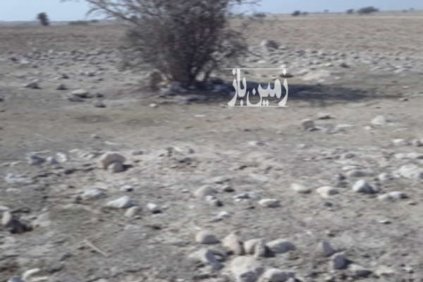 زمین ۱۰۰۰متری در تمب گرو-3