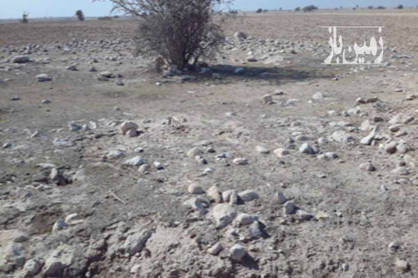 زمین ۱۰۰۰متری در تمب گرو-4