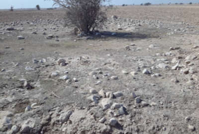 زمین ۱۰۰۰متری در تمب گرو