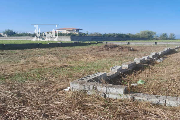 زمین ۲۸۸ متر ابتدای روستای مسکون-3