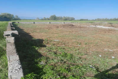 زمین ۲۸۸ متر ابتدای روستای مسکون