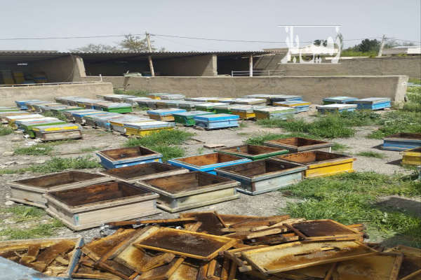 زمین ملک چهاردیواری نظرآباد حسین اباد ۱۲۰۰ متر-2