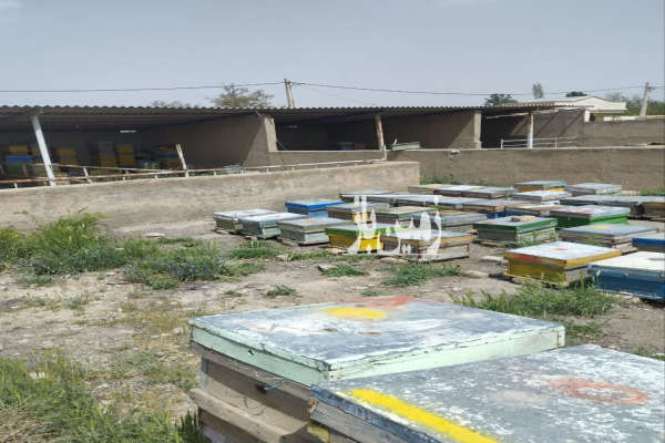 زمین ملک چهاردیواری نظرآباد حسین اباد ۱۲۰۰ متر-3