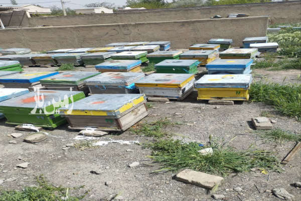 زمین ملک چهاردیواری نظرآباد حسین اباد ۱۲۰۰ متر-4