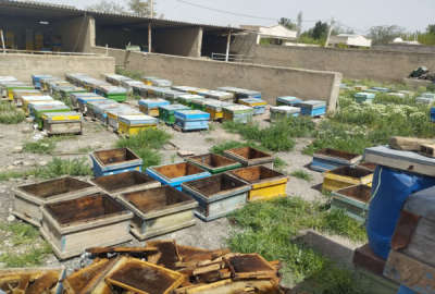 زمین ملک چهاردیواری نظرآباد حسین اباد ۱۲۰۰ متر