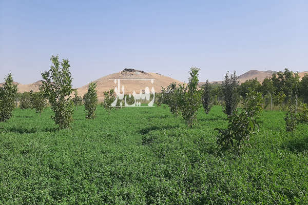 فروش باغ کشاورزی شاهین دژ پمپاژ هولاسو ۲۰۰۰ متر-1