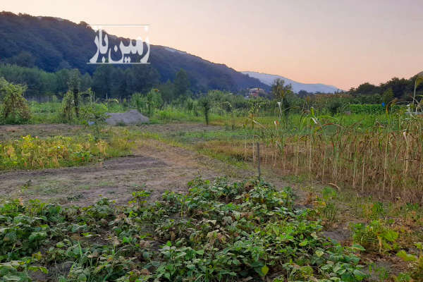 فروش زمین زراعی سوادکوه زیرآب ۳۵۰ متر-3