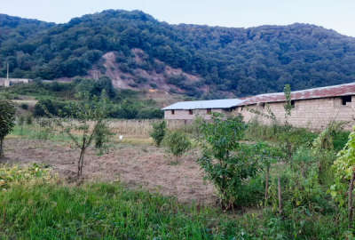 فروش زمین زراعی سوادکوه زیرآب ۳۵۰ متر