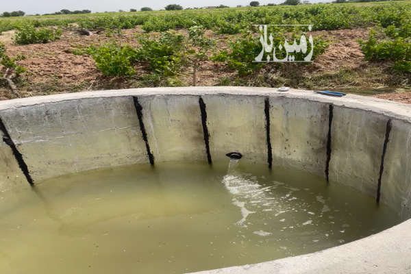 باغ انگور پر بار روستای رادکان ۷۵۰۰ متر-4
