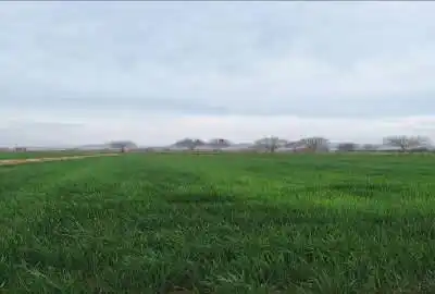 زمین کشاورزی فروشی عاشق اباد وصف اباد ۵۷۰ متر