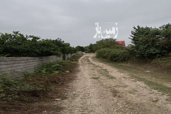 زمین باغی در ساری روستای دروپی بالاکولا ۱۰۰۰ متر-2