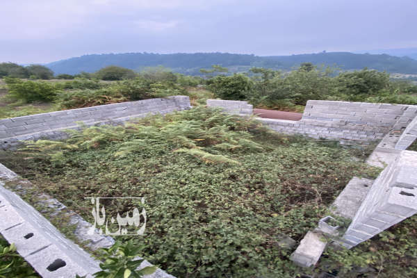 زمین باغی در ساری روستای دروپی بالاکولا ۱۰۰۰ متر-4