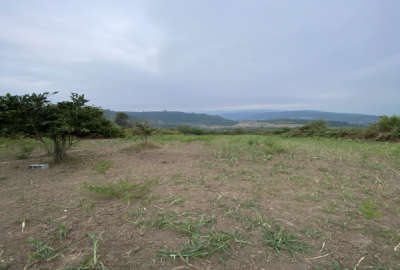زمین باغی در ساری روستای دروپی بالاکولا ۱۰۰۰ متر