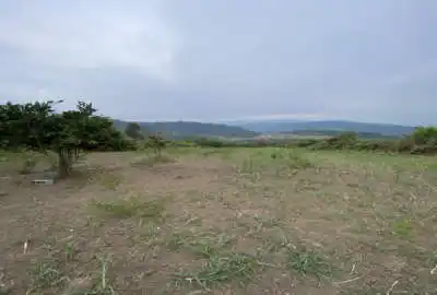 زمین باغی در ساری روستای دروپی بالاکولا ۱۰۰۰ متر