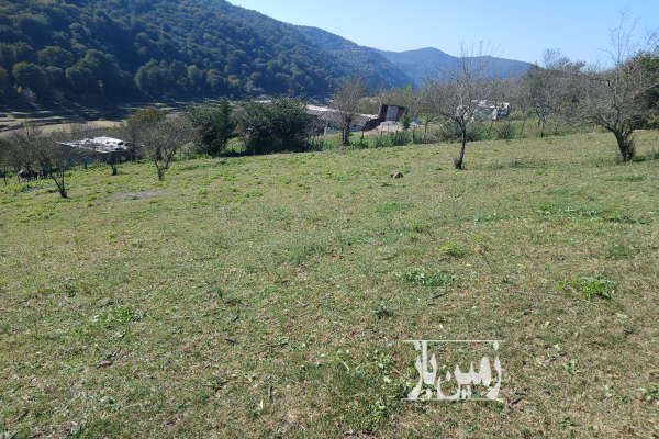 فروش زمین سواد کوه زیراب روستای پاشاکلا ۱۵۰۰ متر-1