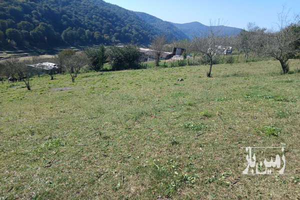 فروش زمین سواد کوه زیراب روستای پاشاکلا ۱۵۰۰ متر-2