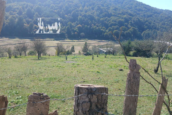 فروش زمین سواد کوه زیراب روستای پاشاکلا ۱۵۰۰ متر-3