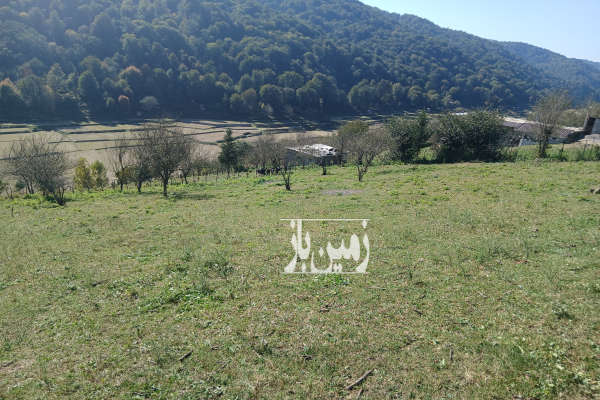 فروش زمین سواد کوه زیراب روستای پاشاکلا ۱۵۰۰ متر-4
