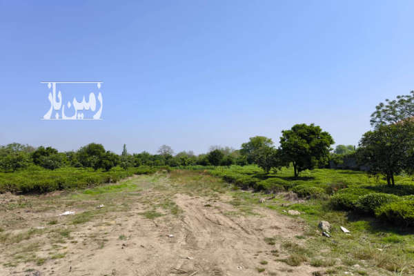 زمین مسکونی با سند شش دانگ ۲۱۶ متر-2