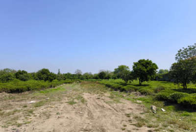 زمین مسکونی با سند شش دانگ ۲۱۶ متر