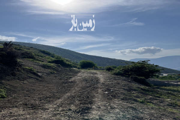 زمین واقع در برنت پل سفید ۲۳۴ متر-4