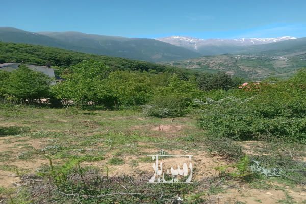 فروش زمین دالخانی ییلاق امامزاده چاک ولنگان ۲۸۲ متر-2
