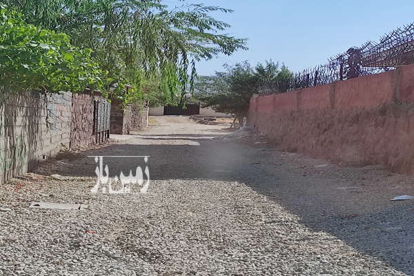 زمین ۱۰۰۰ متر واقع در دماوند همند وادان-1