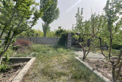 باغچه ۸۰۰متر دارای درخت ۹ساله شهریار دیناراباد