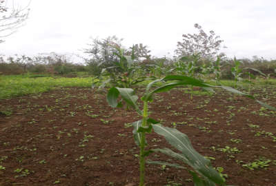 زمین جاده رشت به فومن پسیخان روستای بودیان ۳۰۰۰ متر