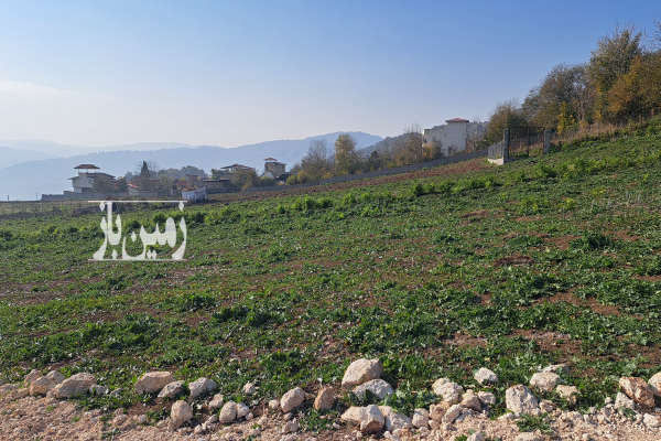زمین روستایی جنگلی با طبیعت زیبا ۱۰۵۰ متر-4