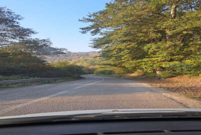 زمین روستایی جنگلی با طبیعت زیبا ۱۰۵۰ متر