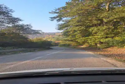 زمین روستایی جنگلی با طبیعت زیبا ۱۰۵۰ متر