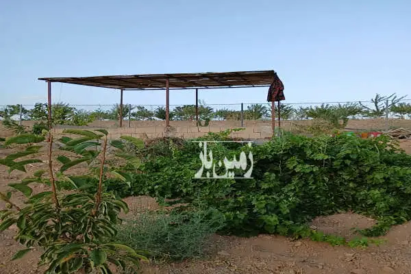 فروش باغ ۸۰۰ متری طرح پاسداران - تصویر 1