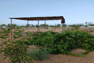 فروش باغ ۸۰۰ متری طرح پاسداران