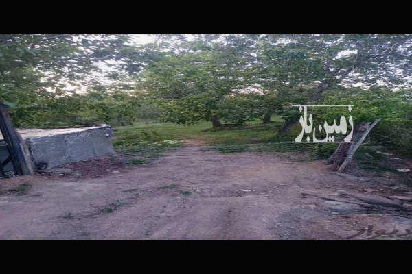 باغ گردو درمحدوده سداکباتان روستای یلفان ۱۰۰۰ متر-1