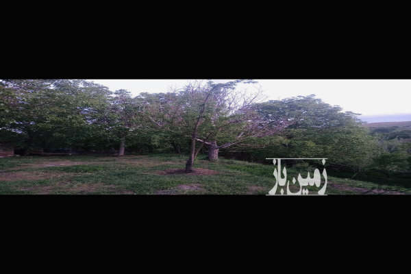 باغ گردو درمحدوده سداکباتان روستای یلفان ۱۰۰۰ متر-3