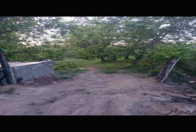 باغ گردو درمحدوده سداکباتان روستای یلفان ۱۰۰۰ متر