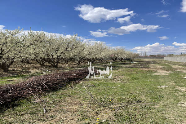 زمین واقع در ساوجبلاغ نزدیک ریل اهن ۱۰۰۰ متر-2