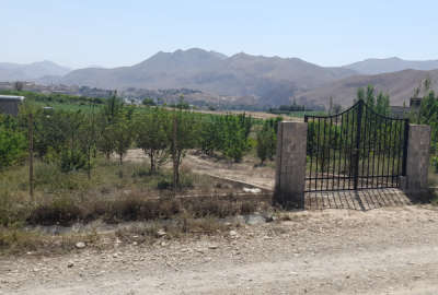 فروش ۱۰۰۰ متر زمین در فیروزکوه