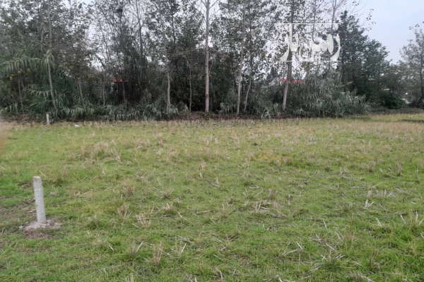 فروش ۱۰۰۰ متر زمین در روستای نشرود سنگر-1