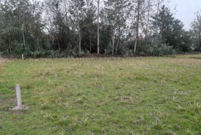 فروش ۱۰۰۰ متر زمین در روستای نشرود سنگر