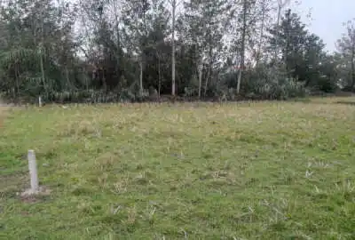 فروش ۱۰۰۰ متر زمین در روستای نشرود سنگر