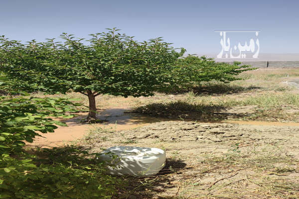 باغچه ۱۰۰۰ متری روستای بگیجان چناران-1