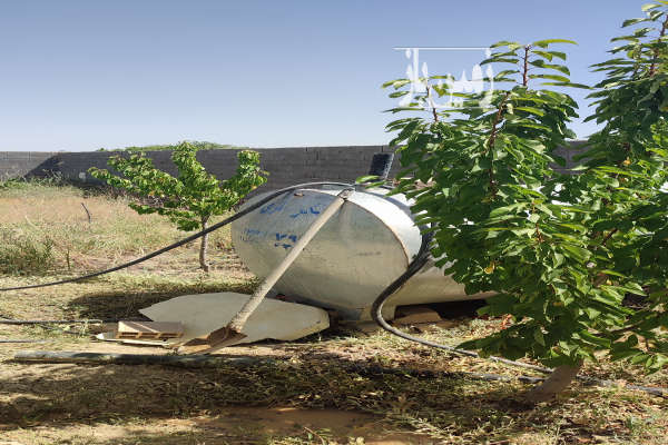 باغچه ۱۰۰۰ متری روستای بگیجان چناران-3