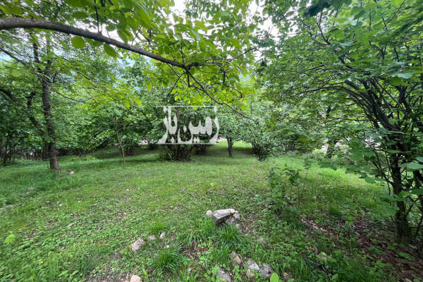 زمین دوهزار برسه ۴۵۰ متری با ویو عالی-1