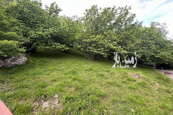 زمین دوهزار برسه ۴۵۰ متری با ویو عالی-2