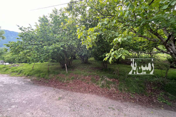 زمین دوهزار برسه ۴۵۰ متری با ویو عالی-4