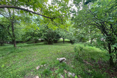 زمین دوهزار برسه ۴۵۰ متری با ویو عالی