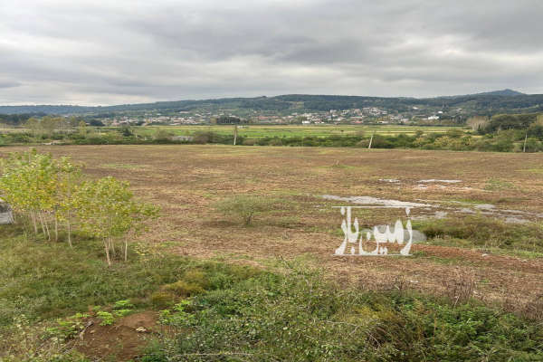 فروش زمین ۲۰۰ متری جاده لفور بابلکنار روستای سیدکلا-2