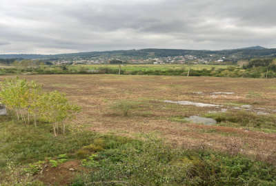 فروش زمین ۲۰۰ متری جاده لفور بابلکنار روستای سیدکلا
